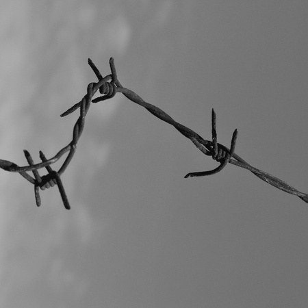 Detail of a barbed wire fence protection - selective focusの写真素材