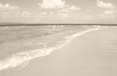 The Stintino beach in Sassari, Sardinia, Italyの写真素材