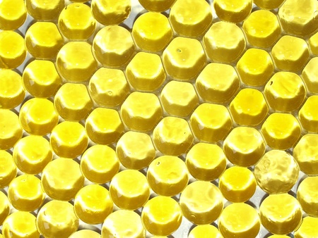 Plant and Flower Gel Floral Colour Water Beads backgroundの写真素材