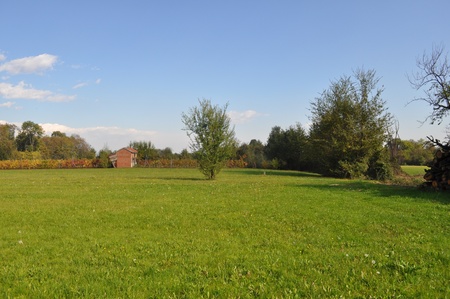 Natural landscape with green meadow, blue sky and treesの写真素材