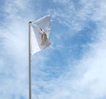 The national Japanese flag of Japan (JP)の写真素材