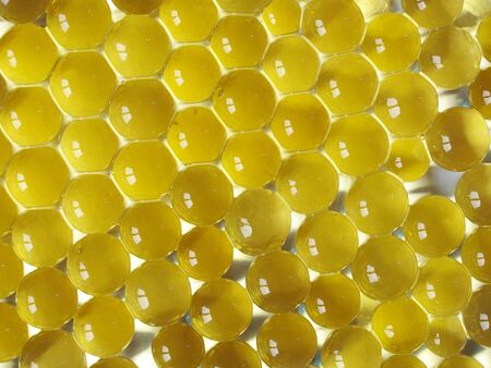 Plant and Flower Gel Floral Colour Water Beads backgroundの写真素材