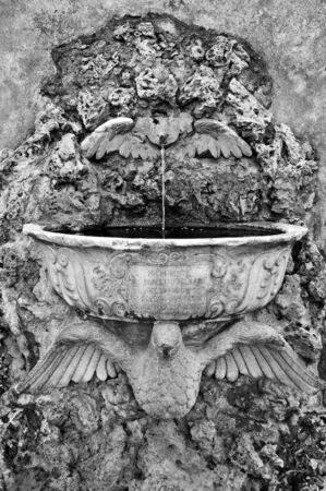 View of the city of Rome, Italyの写真素材