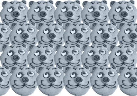 Range of homemade baked cookies with cat face isolated on whiteの写真素材