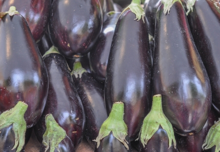 Violet aubergine vegetables healthy vegetarian cuisine foodの写真素材