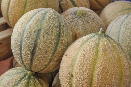 Melons fruit organic vegetarian foodの写真素材