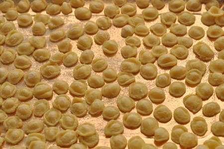 orecchiette traditional Italian pasta food from Apulia regionの写真素材