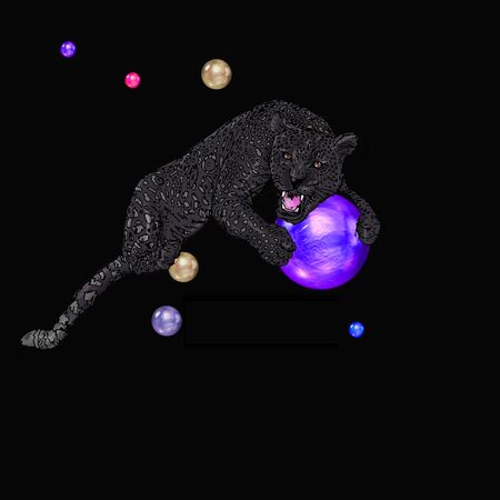 black panther with ballの写真素材