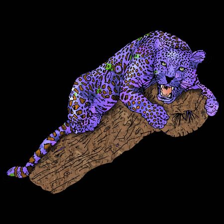 purple panther on blackの写真素材