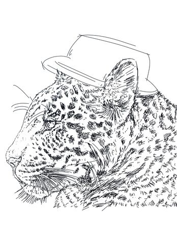 a tiger with a capの写真素材