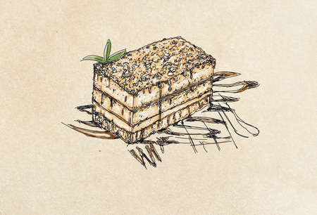 human, images, art, dressed, zebra, illustrations, face, comic, animal, savannah, realistic stretchの写真素材