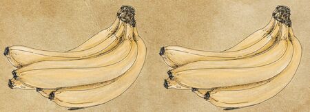 Banners templates with a bunch of bananas design, vintageの写真素材