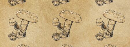 Banners templates with a porcini mushroom design, vintageの写真素材