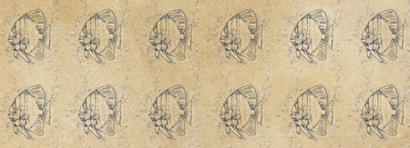 Banners templates with fish design, vintage