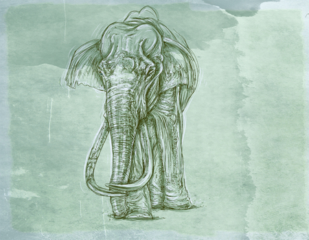 realistic animals with vintage backgroundの写真素材
