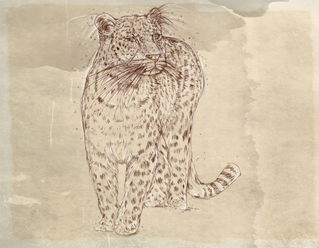 a panther series of animals with vintage background, artistic postcardsの写真素材