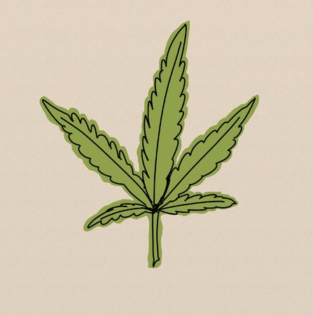to marijuana leafの写真素材