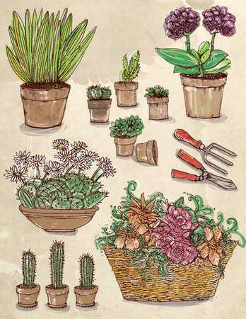 Hand drawn vector illustration of different succulents in flowerpots.の写真素材