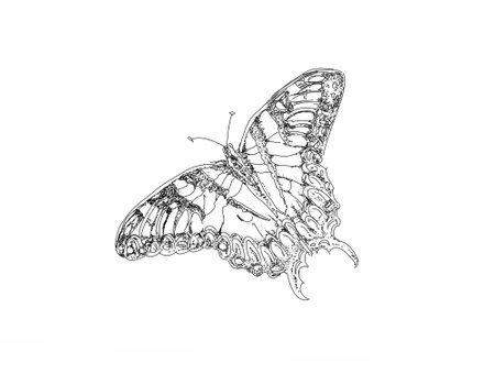 butterfly isolated on a white background. Vector illustration. eps 10の写真素材