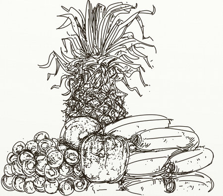 Pineapple banana grapes peaches. Hand drawn vector illustration.の写真素材