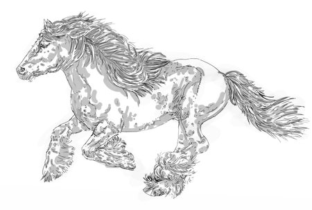 Sketch of a running horse on a white background. Vector illustrationの写真素材