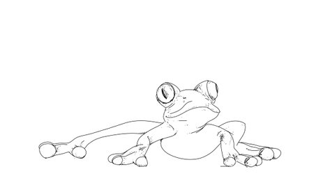illustration of frog on a white background, drawing by hand.の写真素材