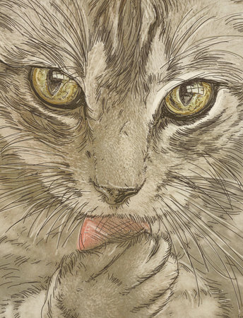 Portrait of a cat with big yellow eyes. Hand-drawn illustration.の写真素材