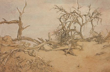 Original hand drawn illustration of a desert landscape with dry trees and grass.の写真素材