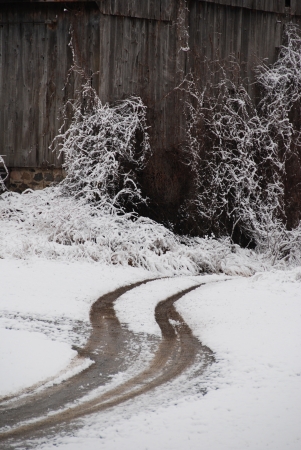 skid marks on snowの写真素材