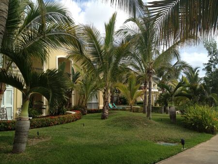 Great green sceneの素材