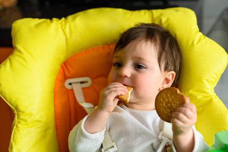 Portrait of a baby eating a cookie in her highchairの写真素材