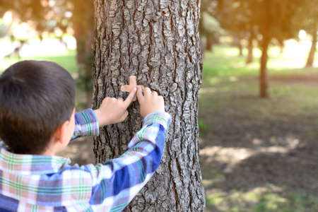 Boy putting a band-aid on a tree trunk. Concept cure, protect, preserve the environment.の写真素材