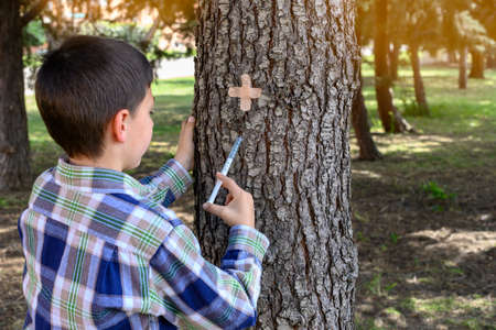 Child injecting a syringe into a tree trunk. Concept of saving the environmentの写真素材