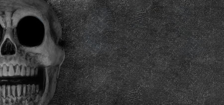 Panoramic view of a human skull in black and white with space for copy.の写真素材