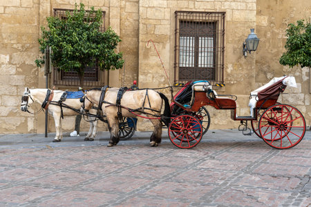 Two horses with a cart to carry passengers on a cobbled street in Cordoba, Spainの写真素材