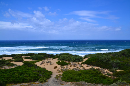 sea and greeneryの写真素材