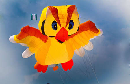 Flying in the windの写真素材