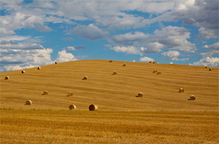 Bales filed in tuscan hillsの写真素材
