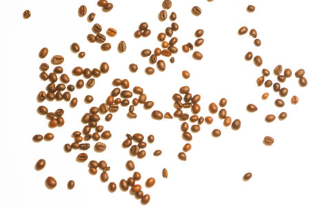 Coffee grainsの写真素材