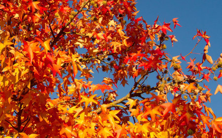 Autumn is coming!