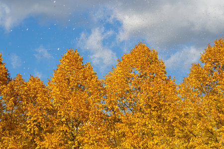 Autumn is coming!