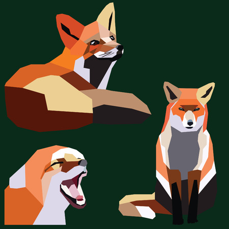 fox set low poly design colorful vector illustration isolated on green background.のイラスト素材