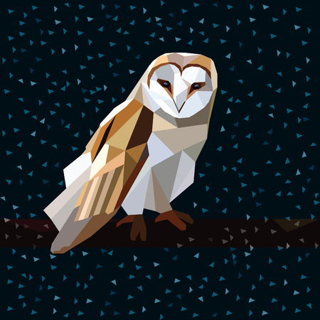 Owl triangle low poly style. のイラスト素材