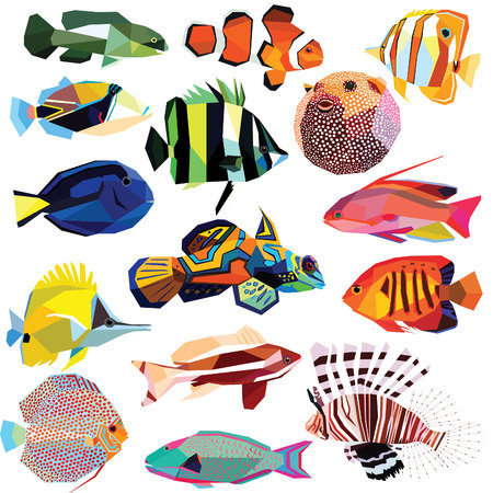 fish-set colorful fish low poly design isolated on white background.Clownfish,Angelfish,Forcipiger,Coralfish,Blowfish,Lionfish,Butterflyfish,Anthias,Tilapia,Mandarinfish,Parrotfish,Triggerfish,Tangのイラスト素材