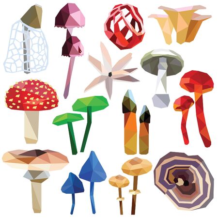 Mushroom set colorful low poly designs isolated on white background. poisonous food illustration. Collection of fungus in a modern style.のイラスト素材