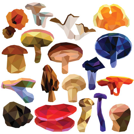 Mushroom set colorful low poly designs isolated on white background. edible food illustration. Collection of fungus in a modern style.のイラスト素材