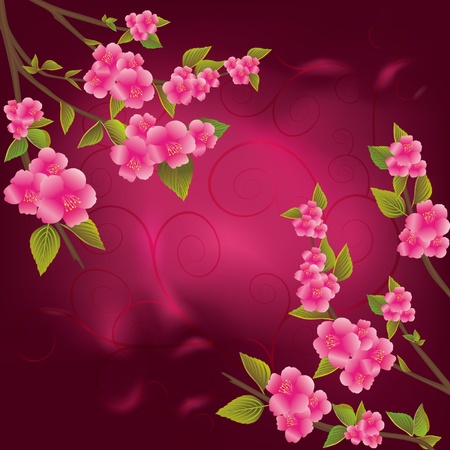 Bright red background with  beautiful cherry blossoms decorated with curls  Vector illustration  EPS 10のイラスト素材