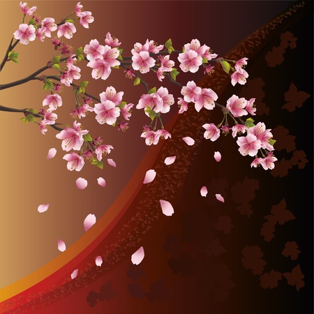 Background with sakura blossom - Japanese cherry tree and patternのイラスト素材