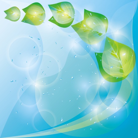 Spring eco background abstract with glowing fresh green leaves and water drops  Place for textのイラスト素材