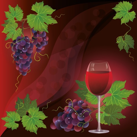 Wine glass and black grape, dark red vector background のイラスト素材